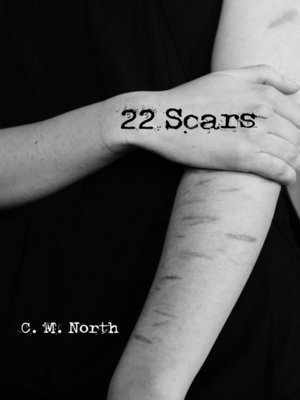 cover image of 22 Scars